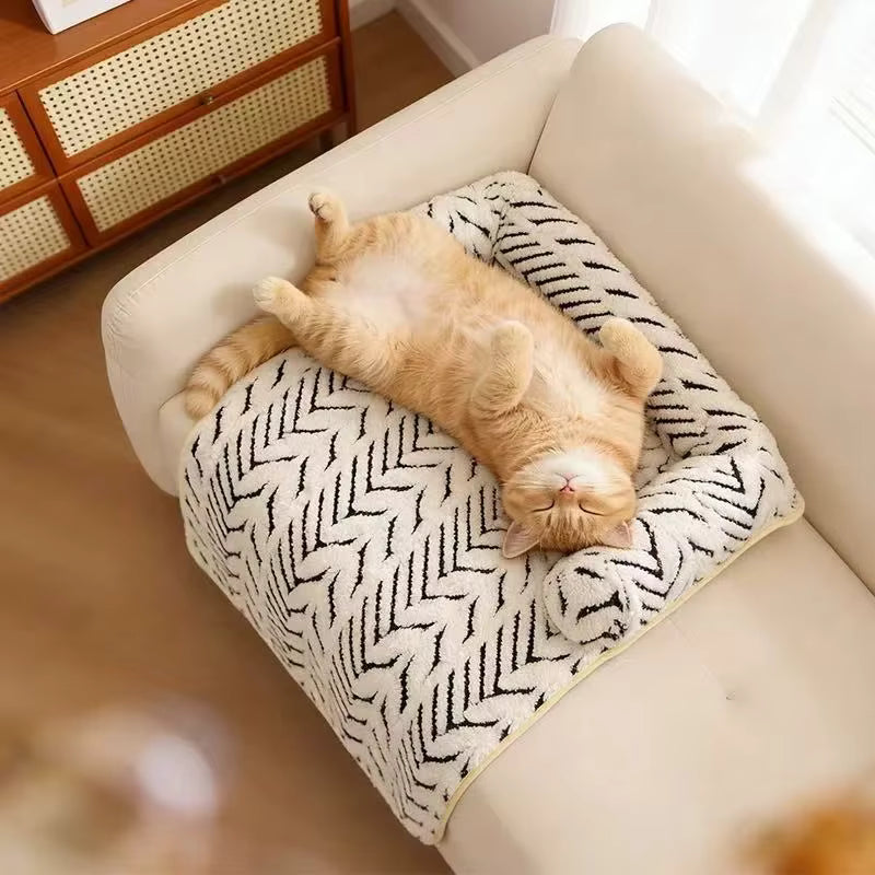 Lit pour chat : où l'installer et comment le choisir