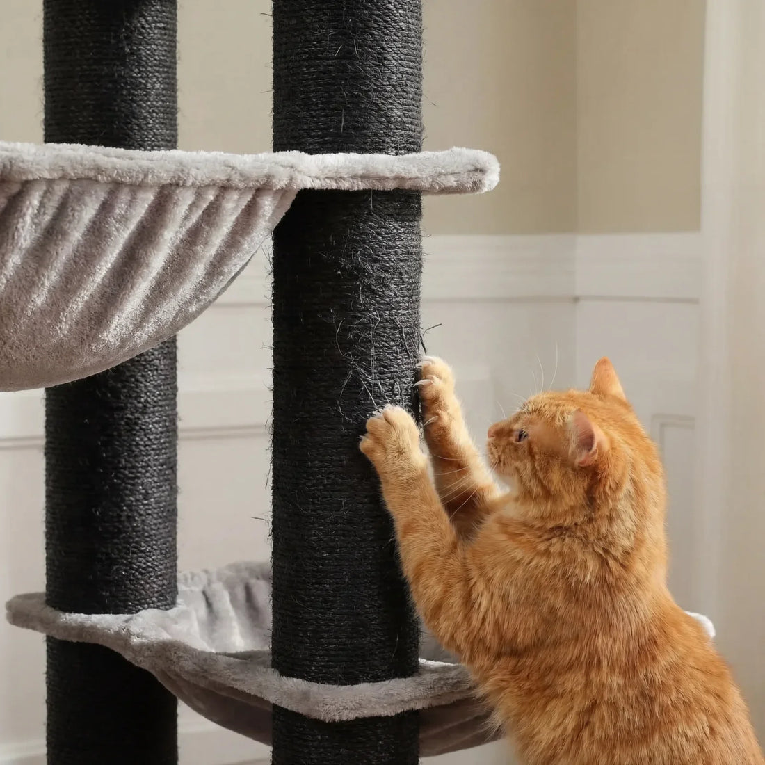 Pourquoi votre chat détruit vos meubles et comment le griffoir idéal va vous sauver