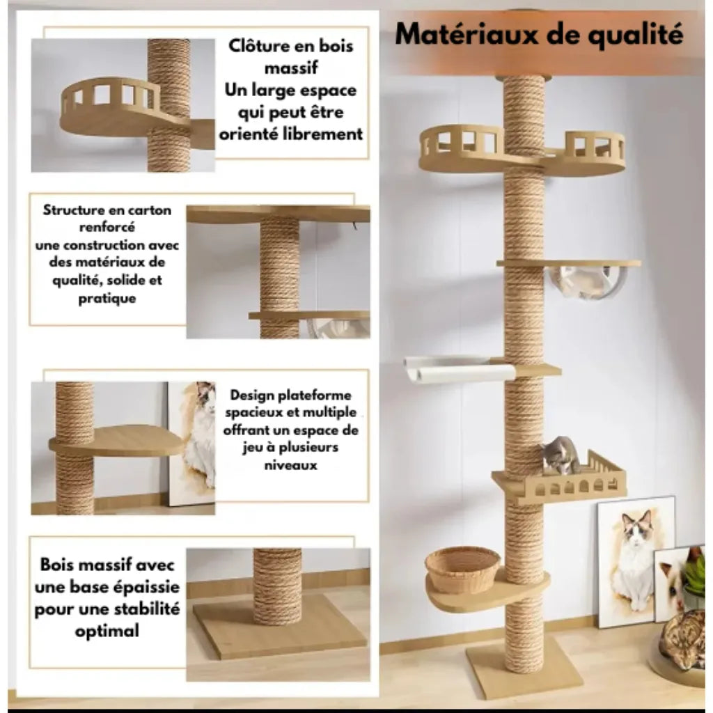 La Tour Sérénité – Arbre à Chat Sol-Plafond Compact