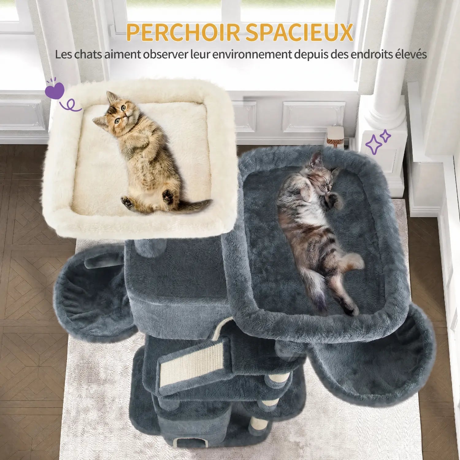 Le Colosse – Arbre à Chat Maine Coon & Stabilité Maximale (185 cm)
