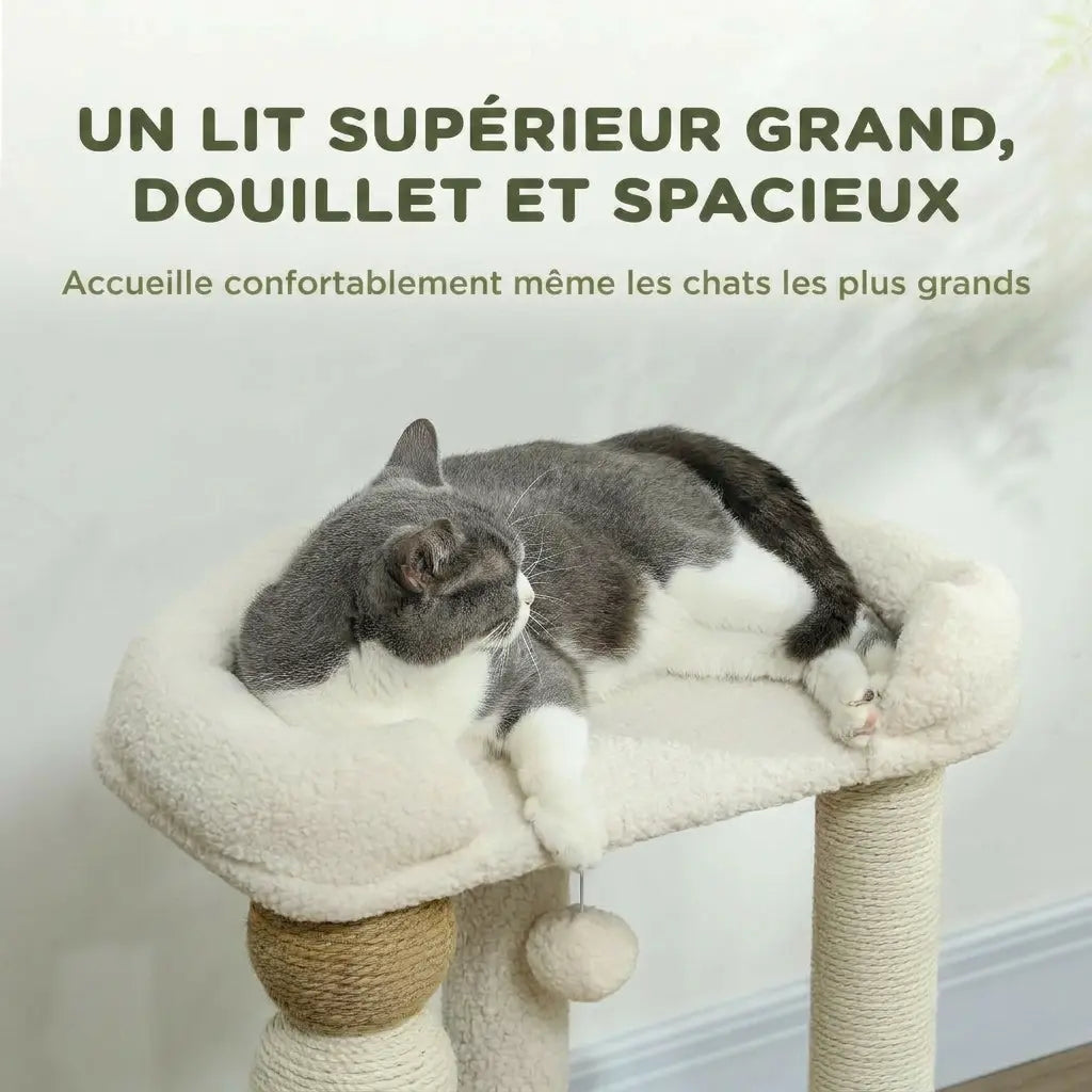 Nuage Mini – Arbre à Chat Design & Compact (76 cm)