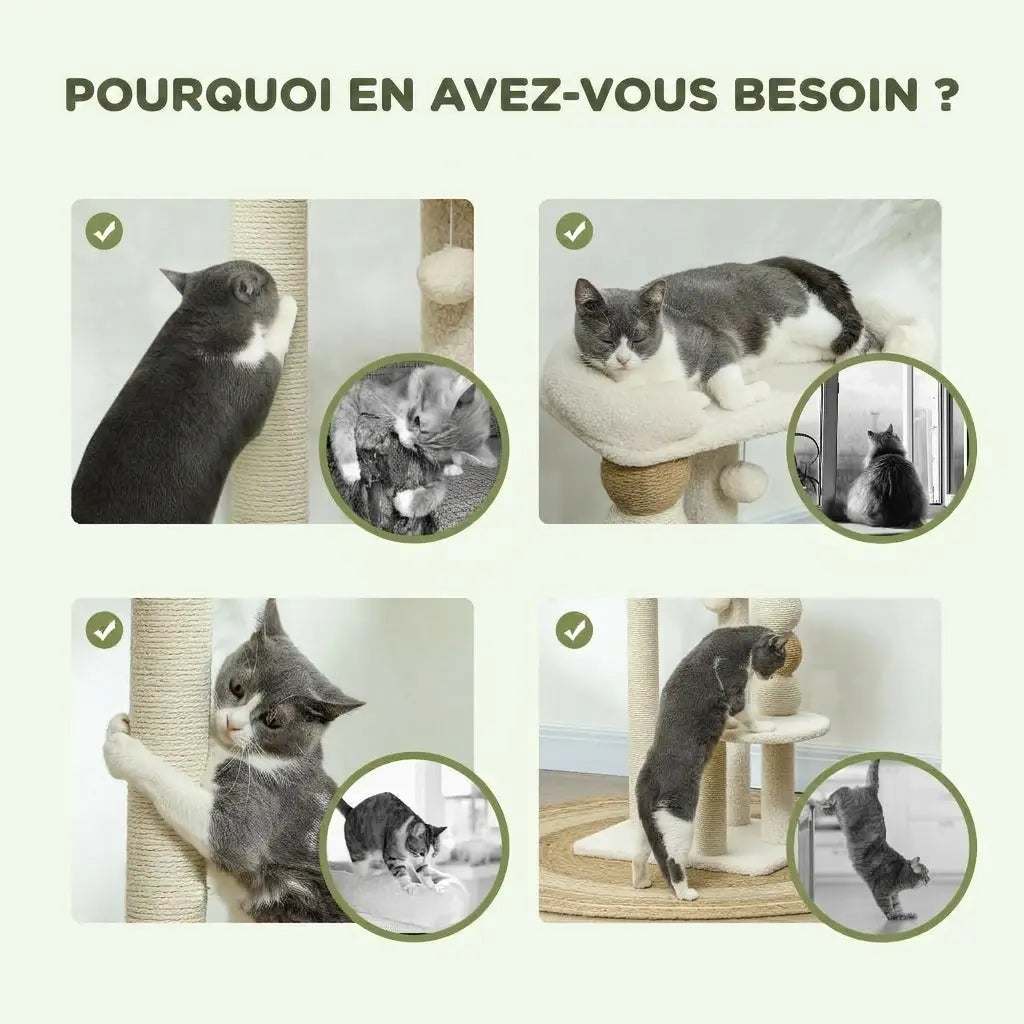 Nuage Mini – Arbre à Chat Design & Compact (76 cm)