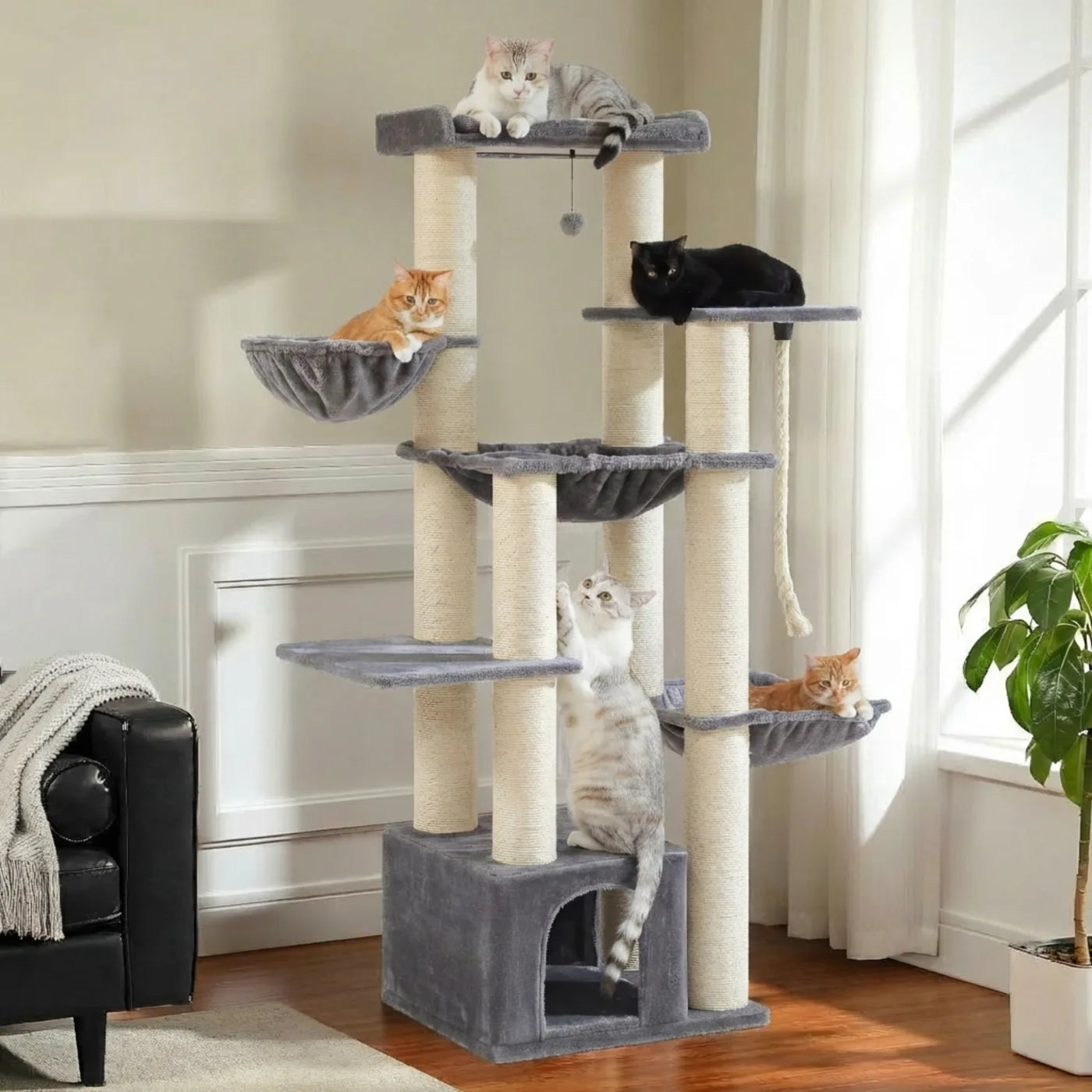 Le Belvédère – Arbre à Chat Grande Hauteur (170 cm)