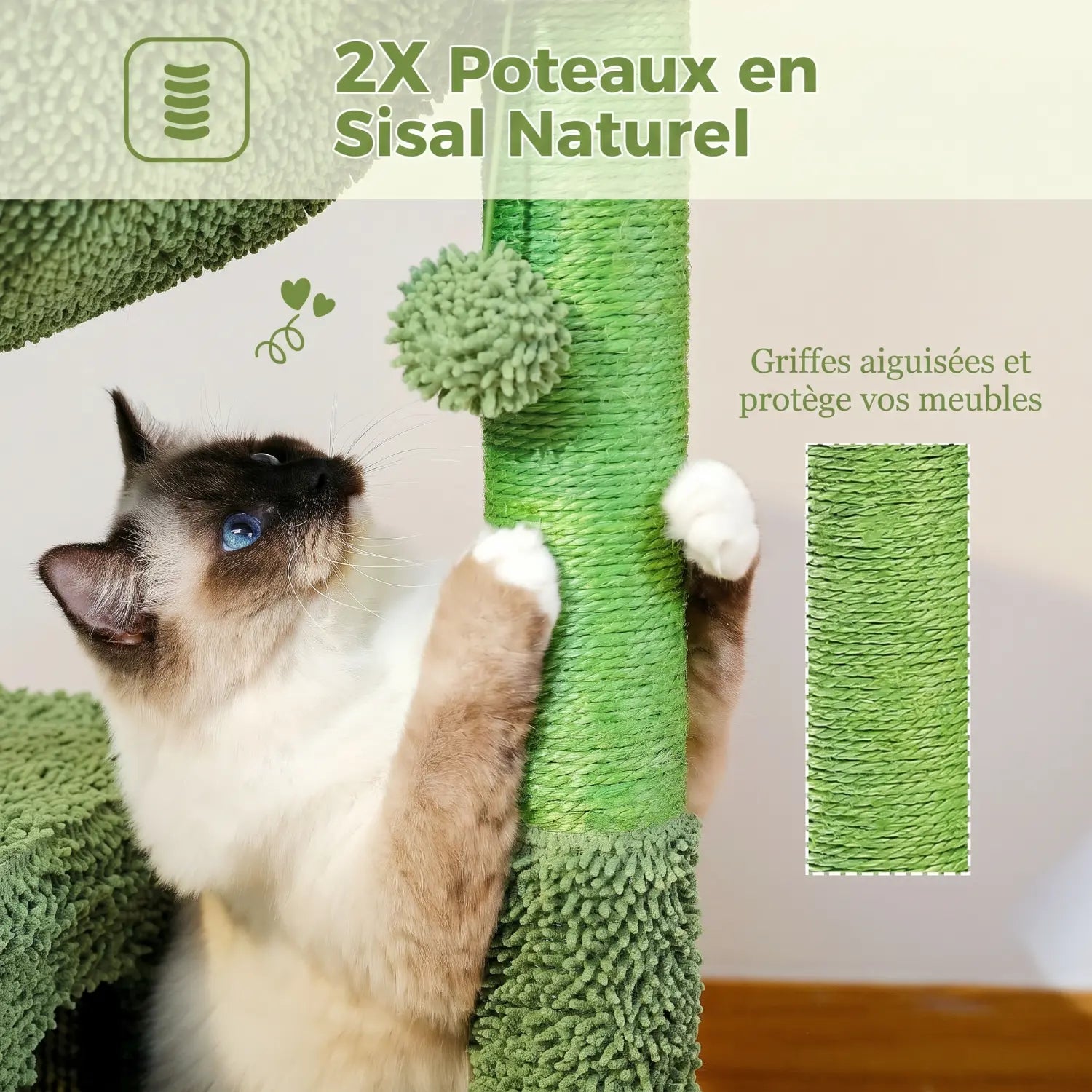 Le Bungalow de Loulou – Petit Arbre à Chat Tropical avec Hamac, Niche et Griffoirs Cactus