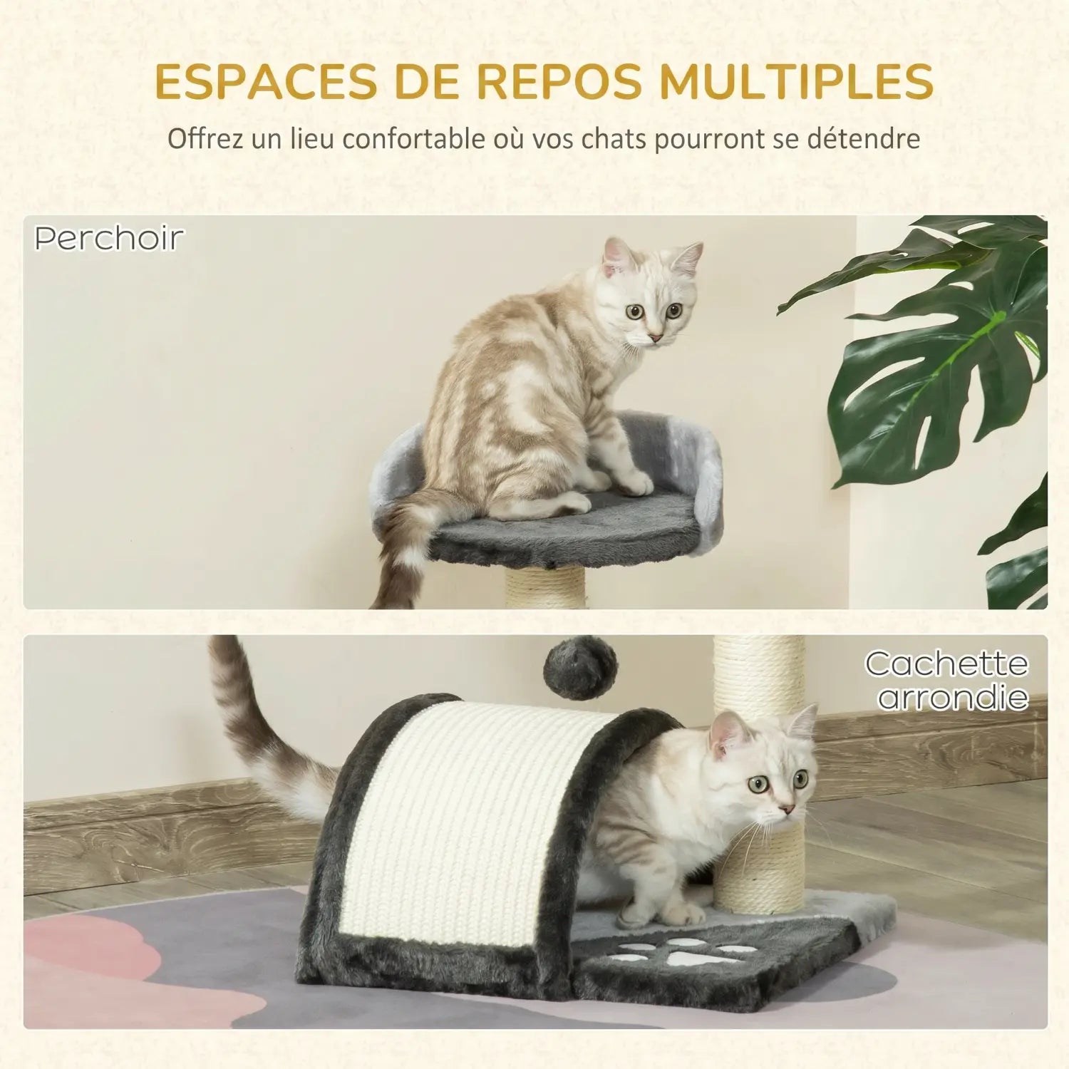 Le Pont de Biscotte – Petit Arbre à Chat Compact avec Pont, Perchoir et Griffoir en Sisal