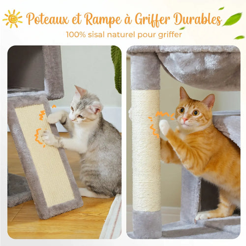 L'Atelier – Arbre à Chat XXL Compact & Stabilité Maximale (104 cm)