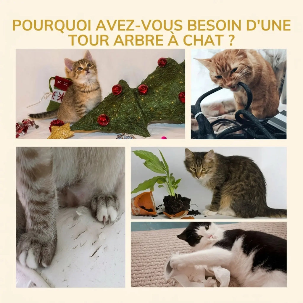 Le Palais Vertical – Arbre à chat sol-plafond XXL avec 2 niches et 2 paniers (240 à 260 cm)