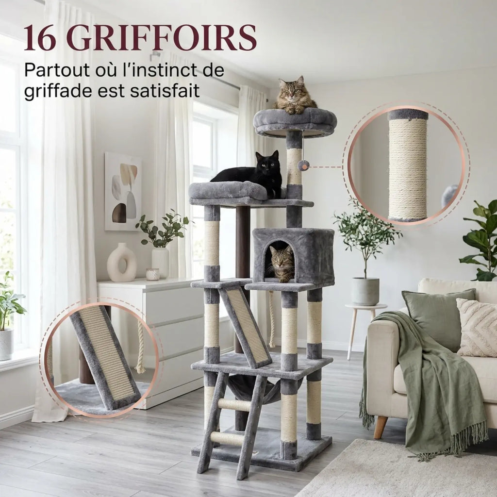 Le Bastion – Arbre à Chat Géant Maine Coon & XXL (208 cm)