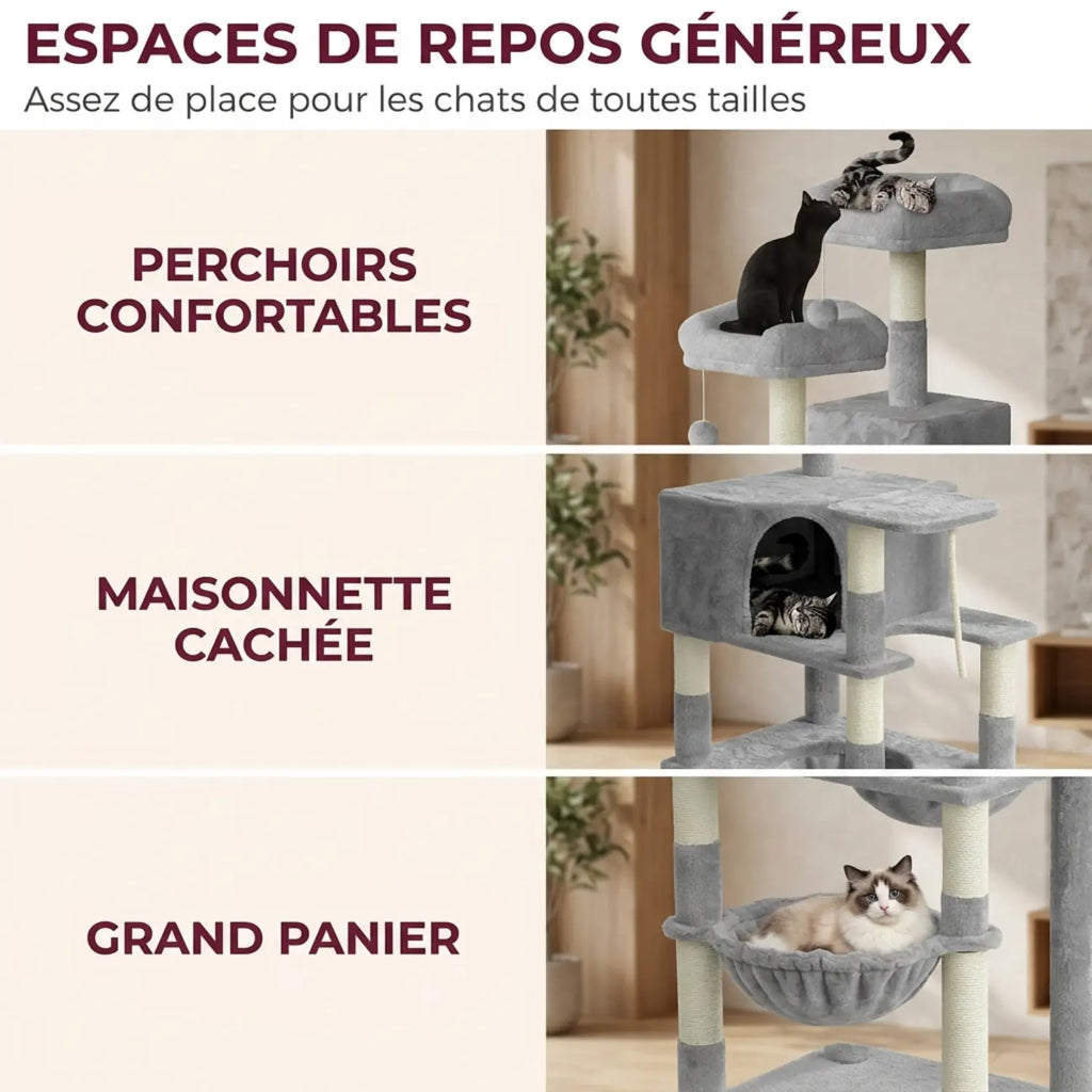 Le Bastion – Arbre à Chat Géant Maine Coon & XXL (208 cm)