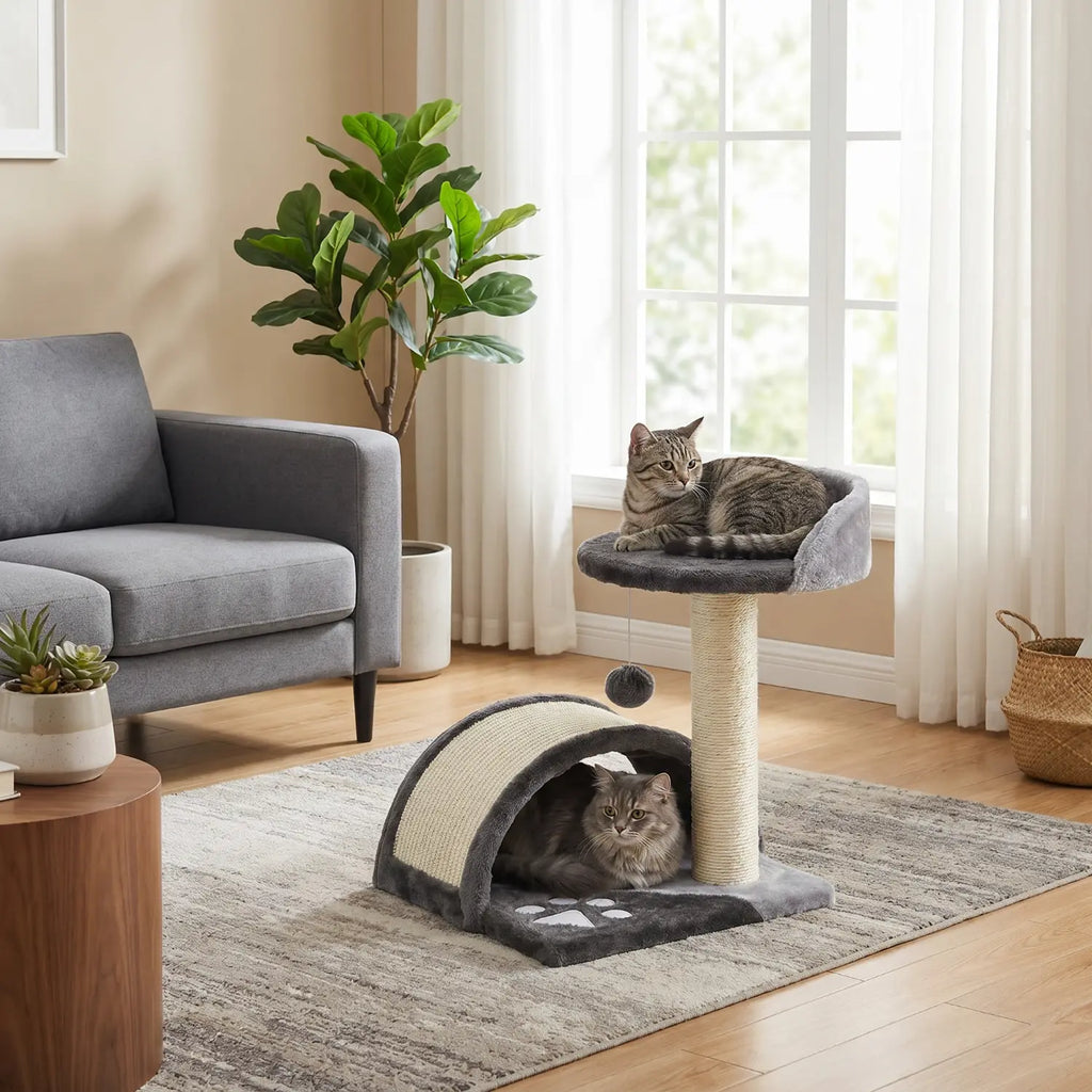 Le Pont de Biscotte – Petit Arbre à Chat Compact avec Pont, Perchoir et Griffoir en Sisal