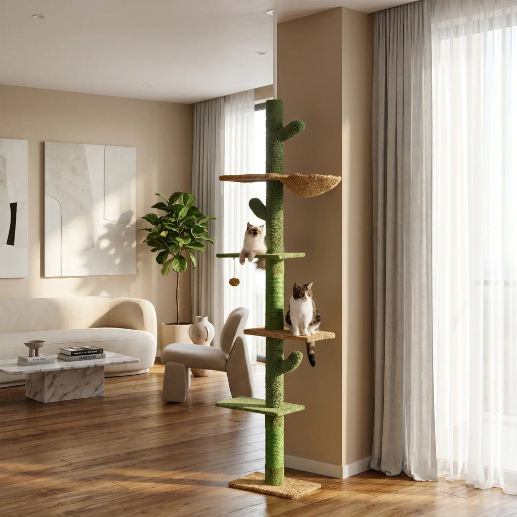 Le Loft Aérien – Arbre à Chat Sol-Plafond 5 Niveaux