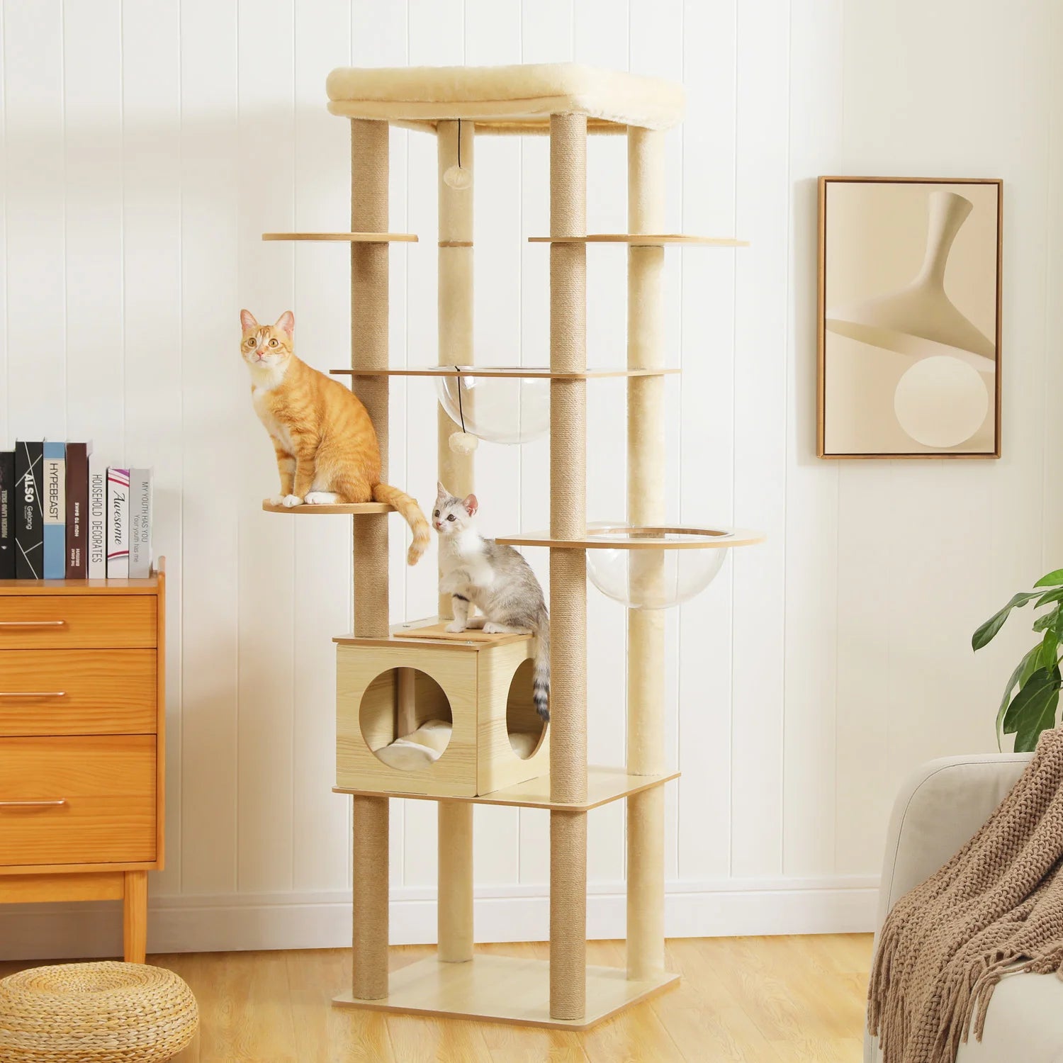 Le Loft Panoramique – Arbre à chat grande hauteur (180 cm)