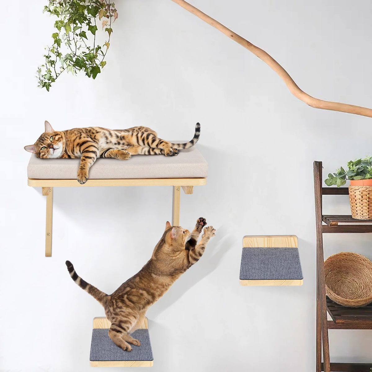 Lit Mural pour Chat en Bois Clair avec 2 Marches et Griffoirs – La Mezzanine