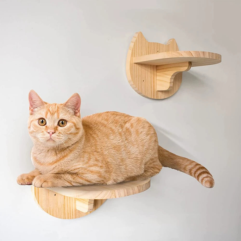Le Loft Suspendu – Arbre à Chat Mural Compact