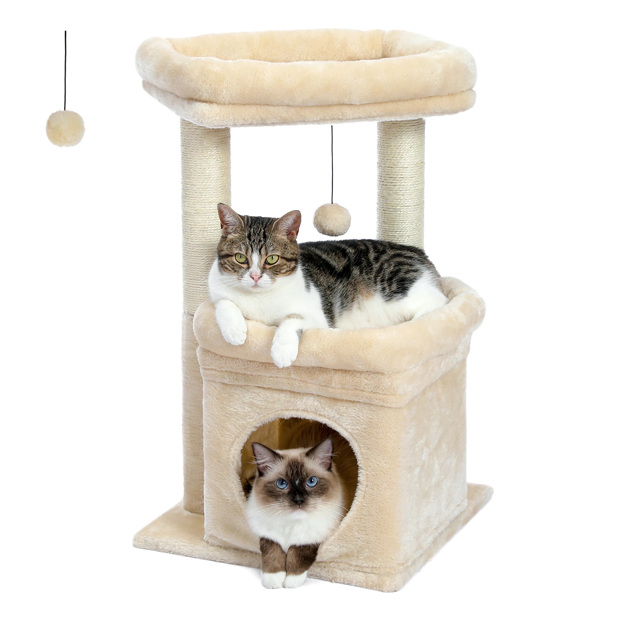 Le Refuge Douillet – Petit Arbre à Chat avec Niche Confort et Griffoirs en Sisal