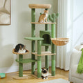 L'Oasis – Arbre à Chat Organique & Stabilité Maximale (150 cm)