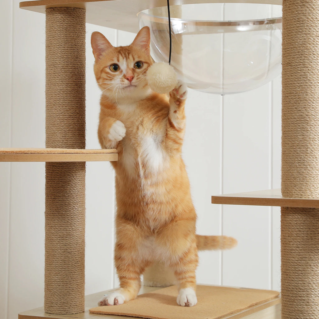 Le Loft Panoramique – Arbre à chat grande hauteur (180 cm)