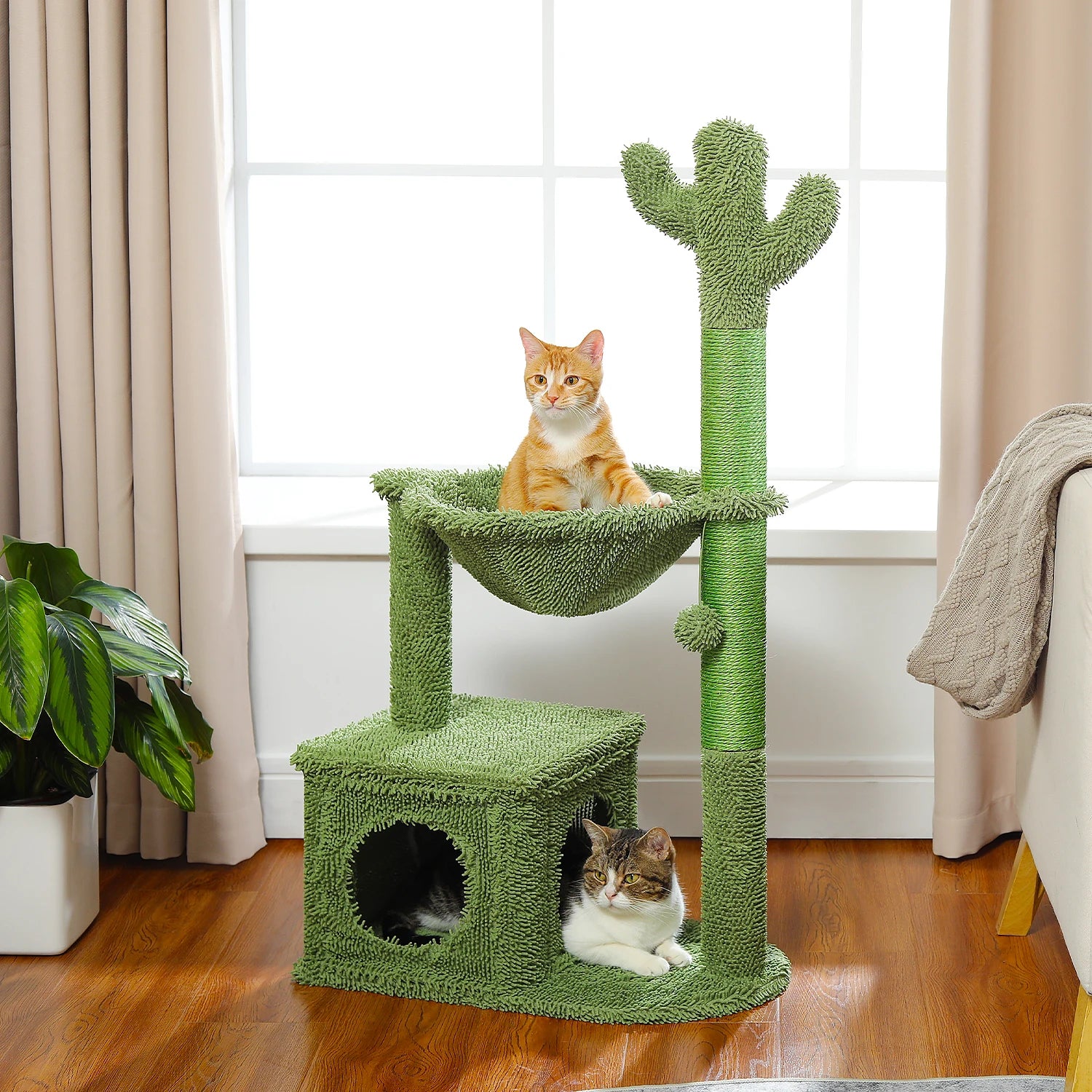 Le Bungalow de Loulou – Petit Arbre à Chat Tropical avec Hamac, Niche et Griffoirs Cactus