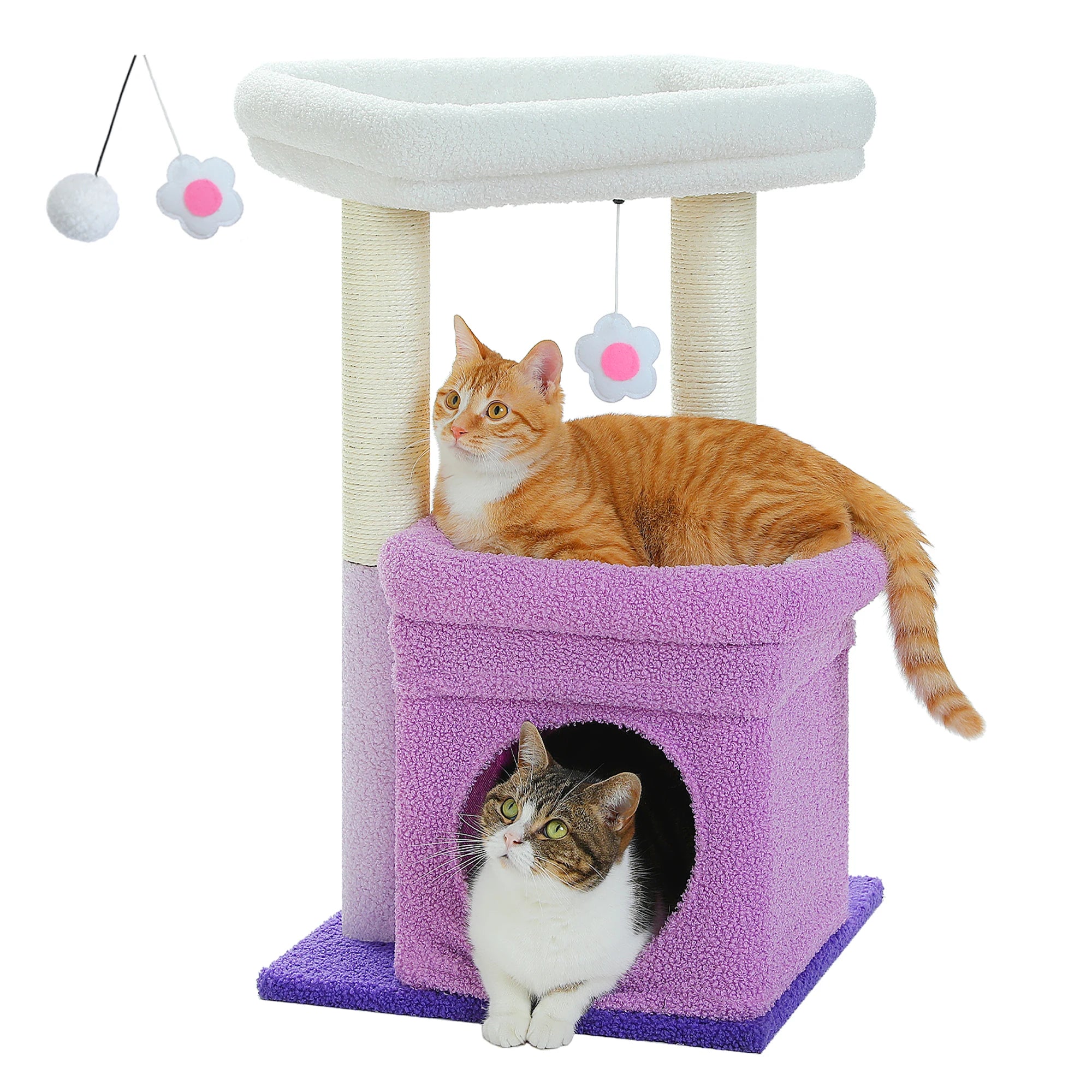 Le Refuge Douillet – Petit Arbre à Chat avec Niche Confort et Griffoirs en Sisal