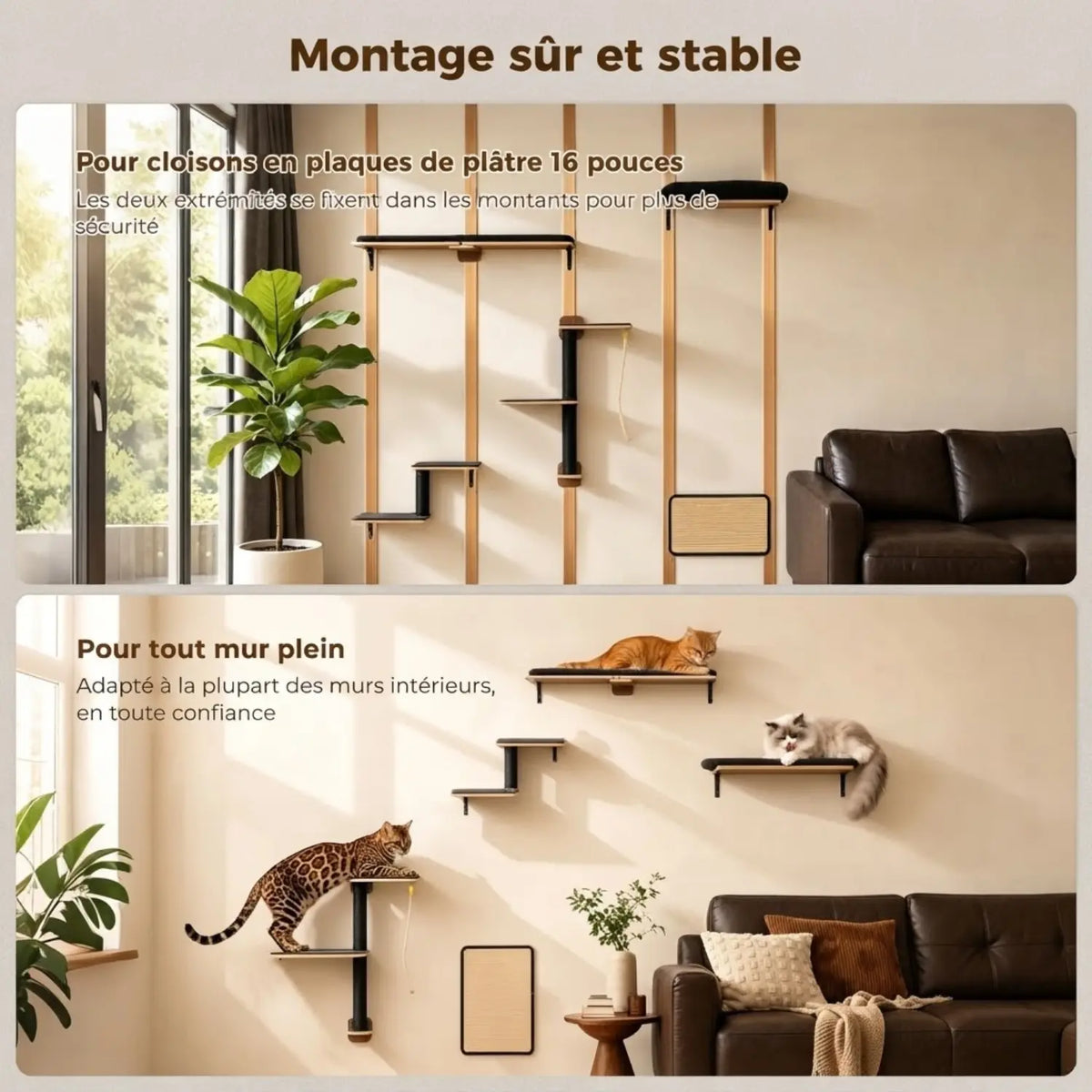 Étagères Murales pour Chat en Bois 5-en-1 – La Falaise Modulable