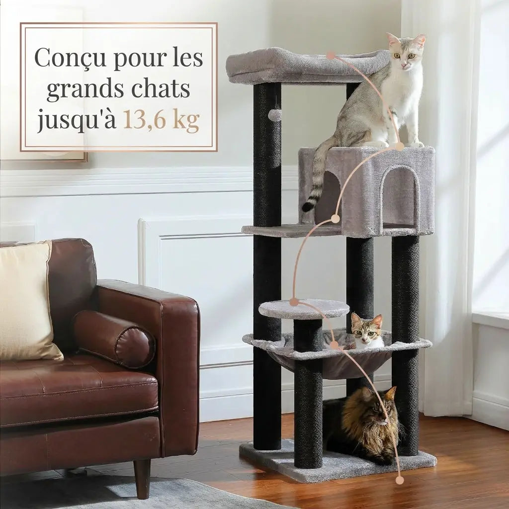 La Citadelle – Arbre à Chat Renforcé Maine Coon & XXL (147 cm)