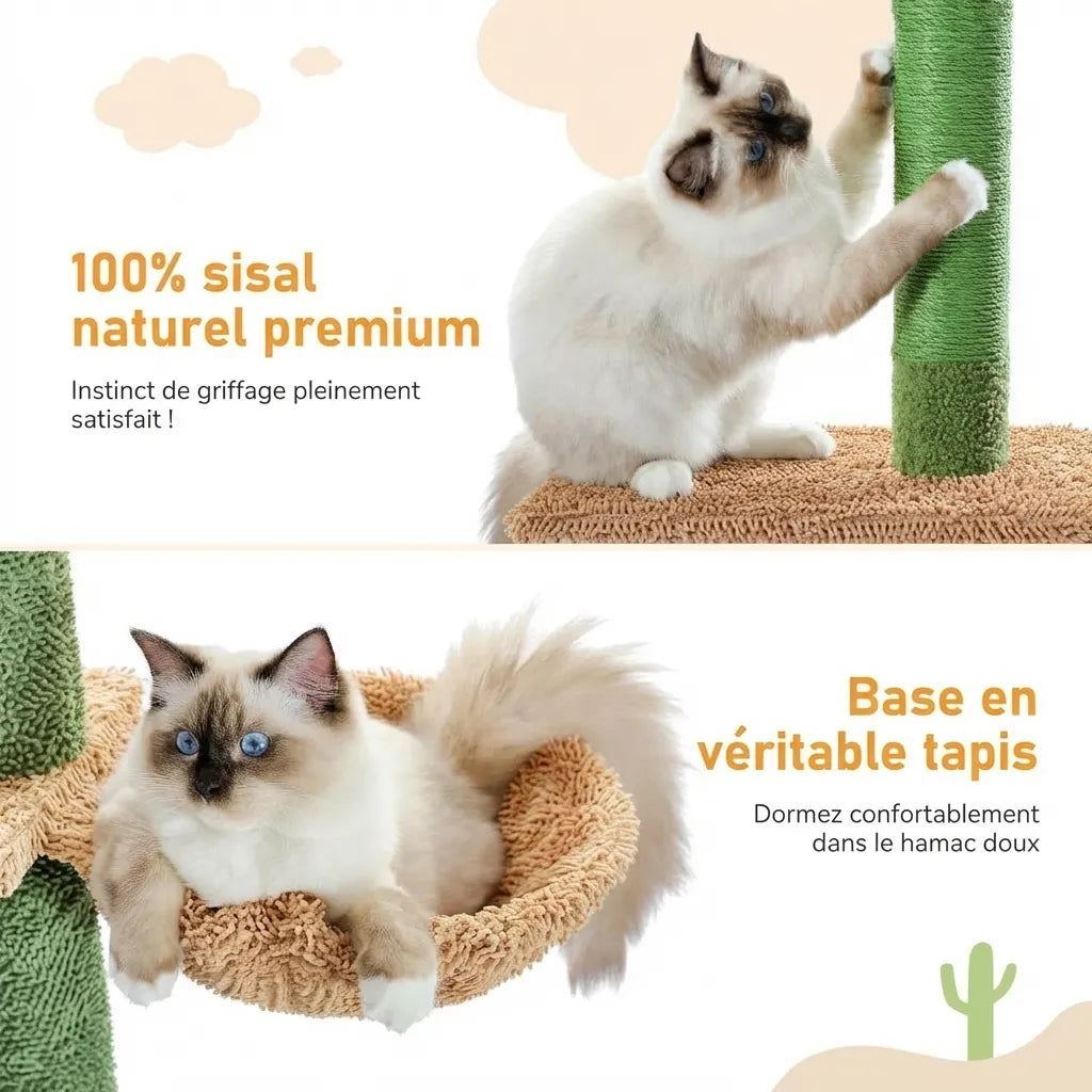 Le Loft Aérien – Arbre à Chat Sol-Plafond 5 Niveaux