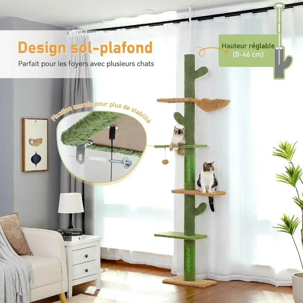 Le Loft Aérien – Arbre à Chat Sol-Plafond 5 Niveaux