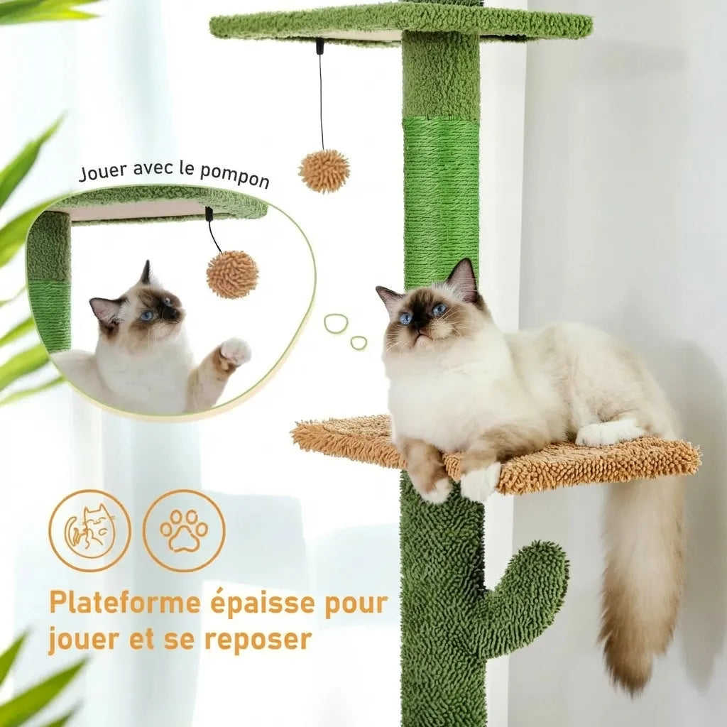 Le Loft Aérien – Arbre à Chat Sol-Plafond 5 Niveaux