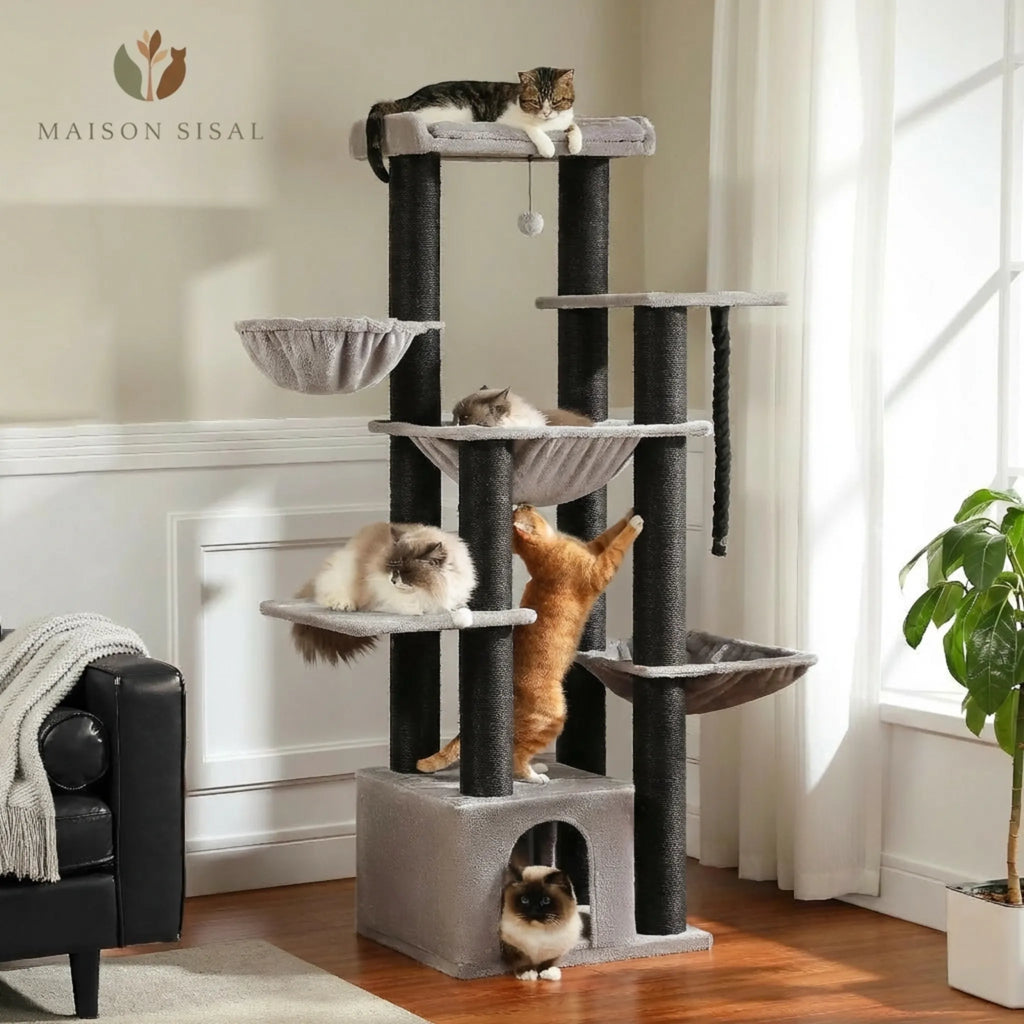 Le Belvédère – Arbre à Chat Grande Hauteur (170 cm)