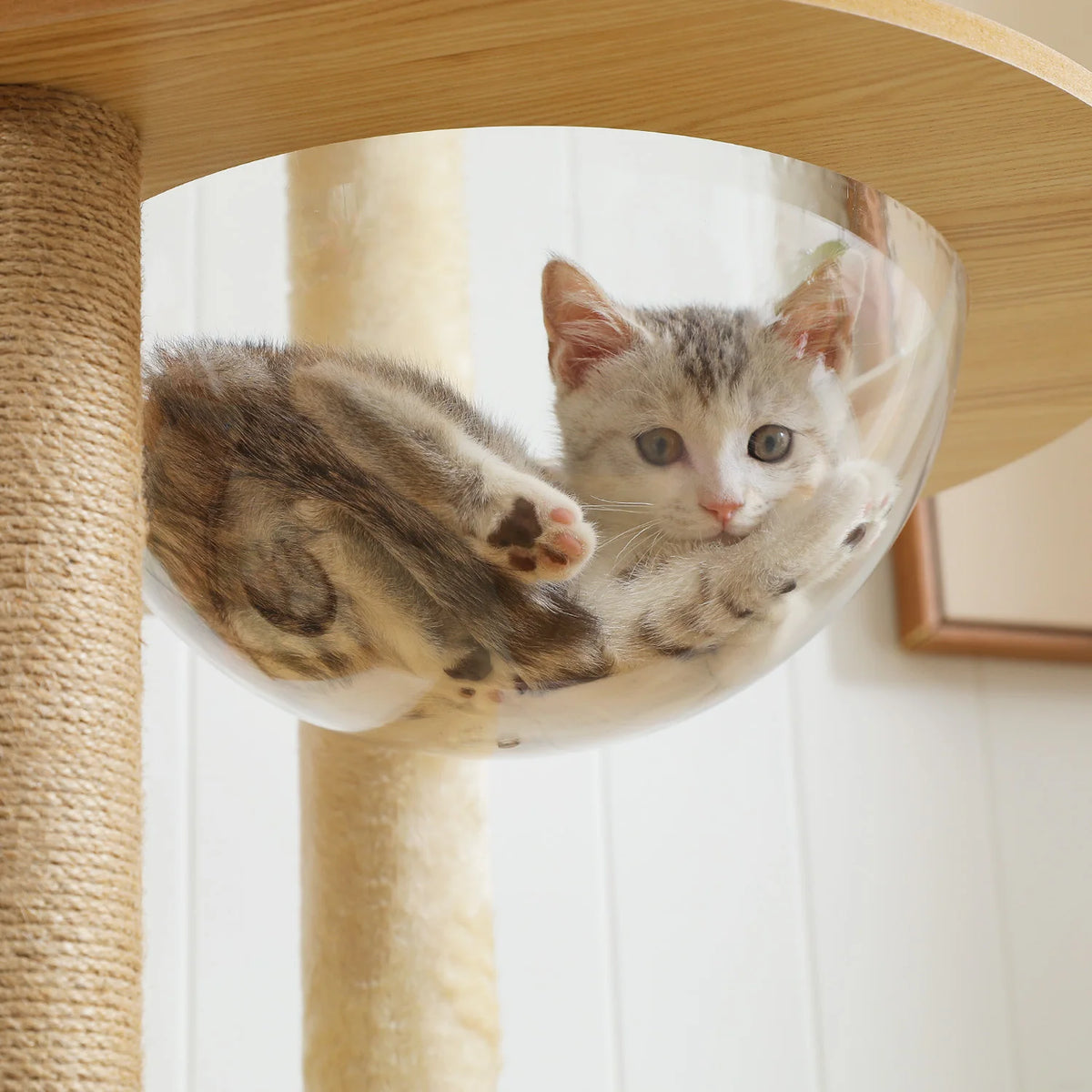 Arbre à chat XXL Le Loft Panoramique 180 cm – vue 3