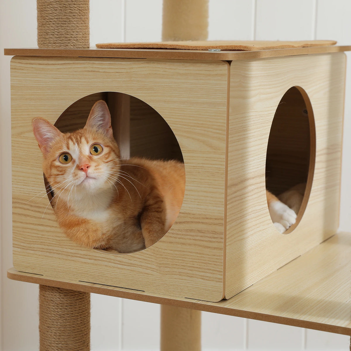 Arbre à chat XXL Le Loft Panoramique 180 cm – vue 6