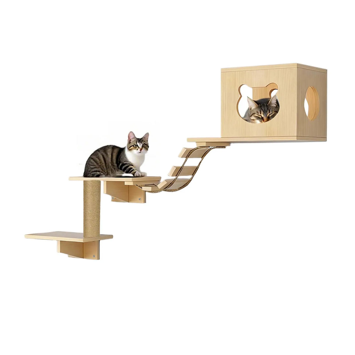 Chat grimpant sur un pont suspendu en bois vers sa niche murale.