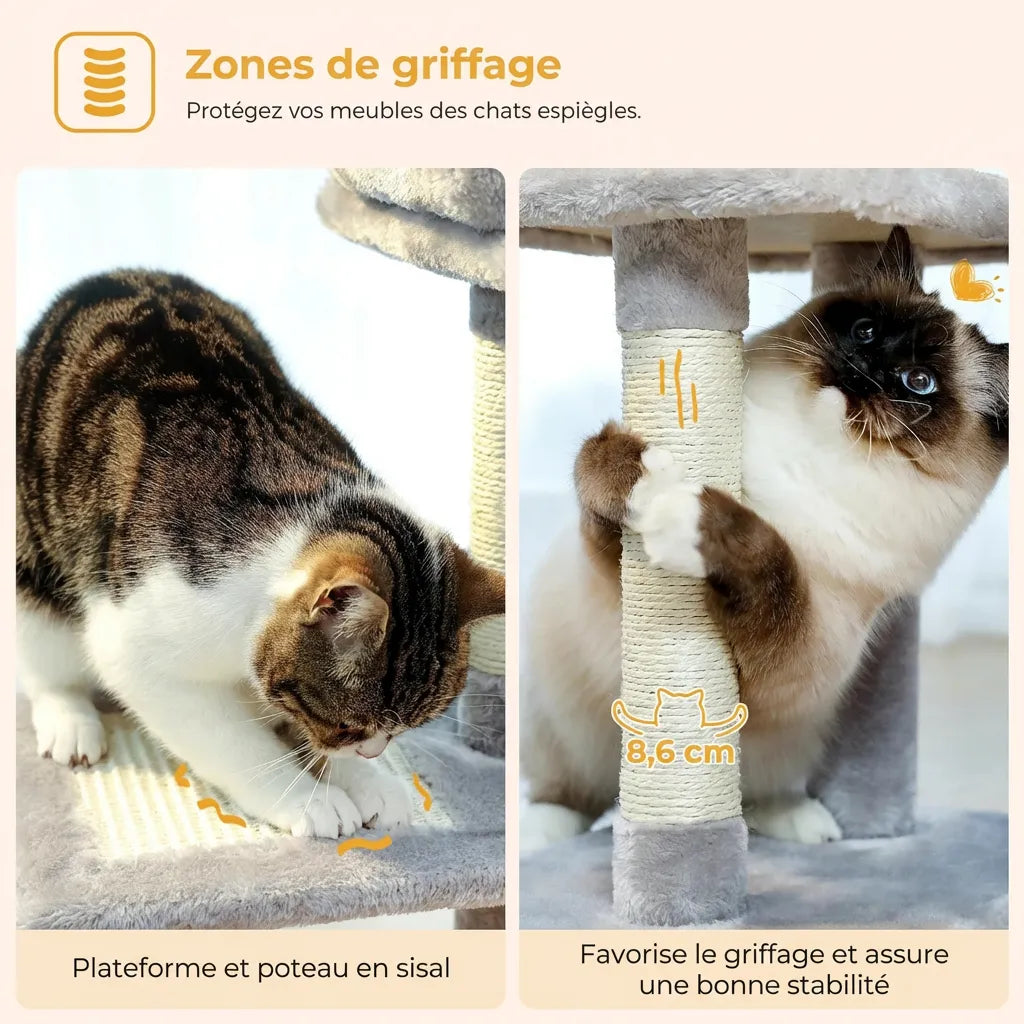 L’Escale Urbaine – Petit Arbre à Chat Compact (73 cm)