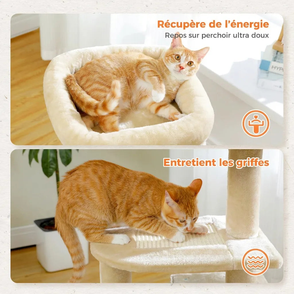 L’Escale Urbaine – Petit Arbre à Chat Compact (73 cm)