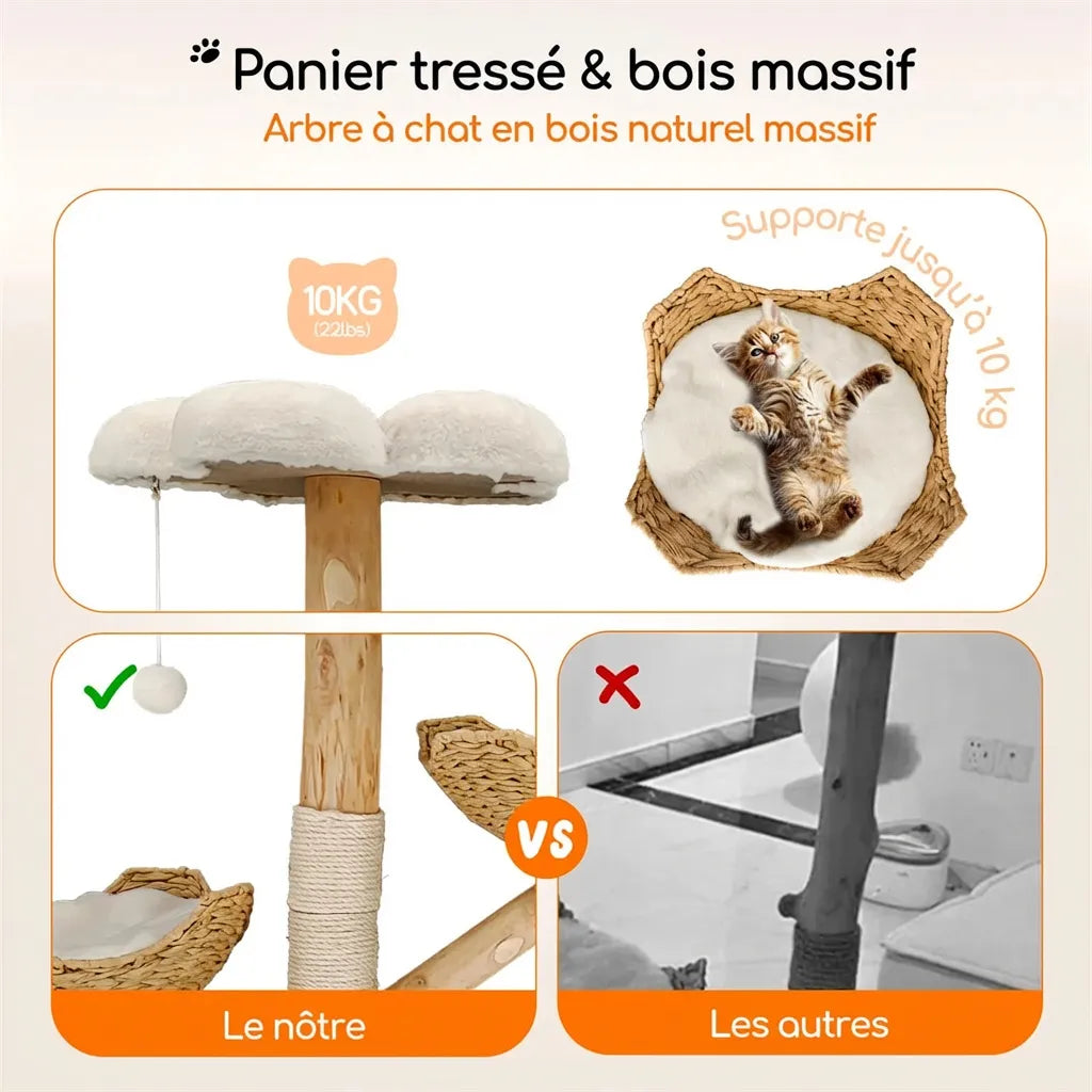 L’Épuré Scandinave – Arbre à Chat Compact (111 cm)