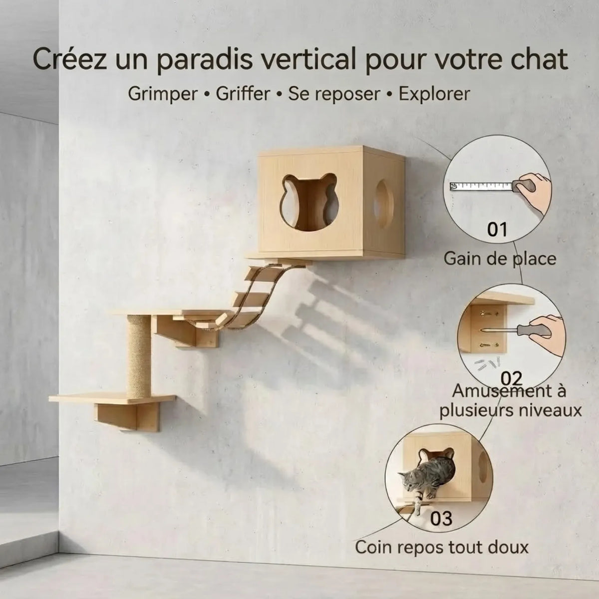 Vue d'ensemble du parcours mural pour chat avec niche, étagères et pont de singe.