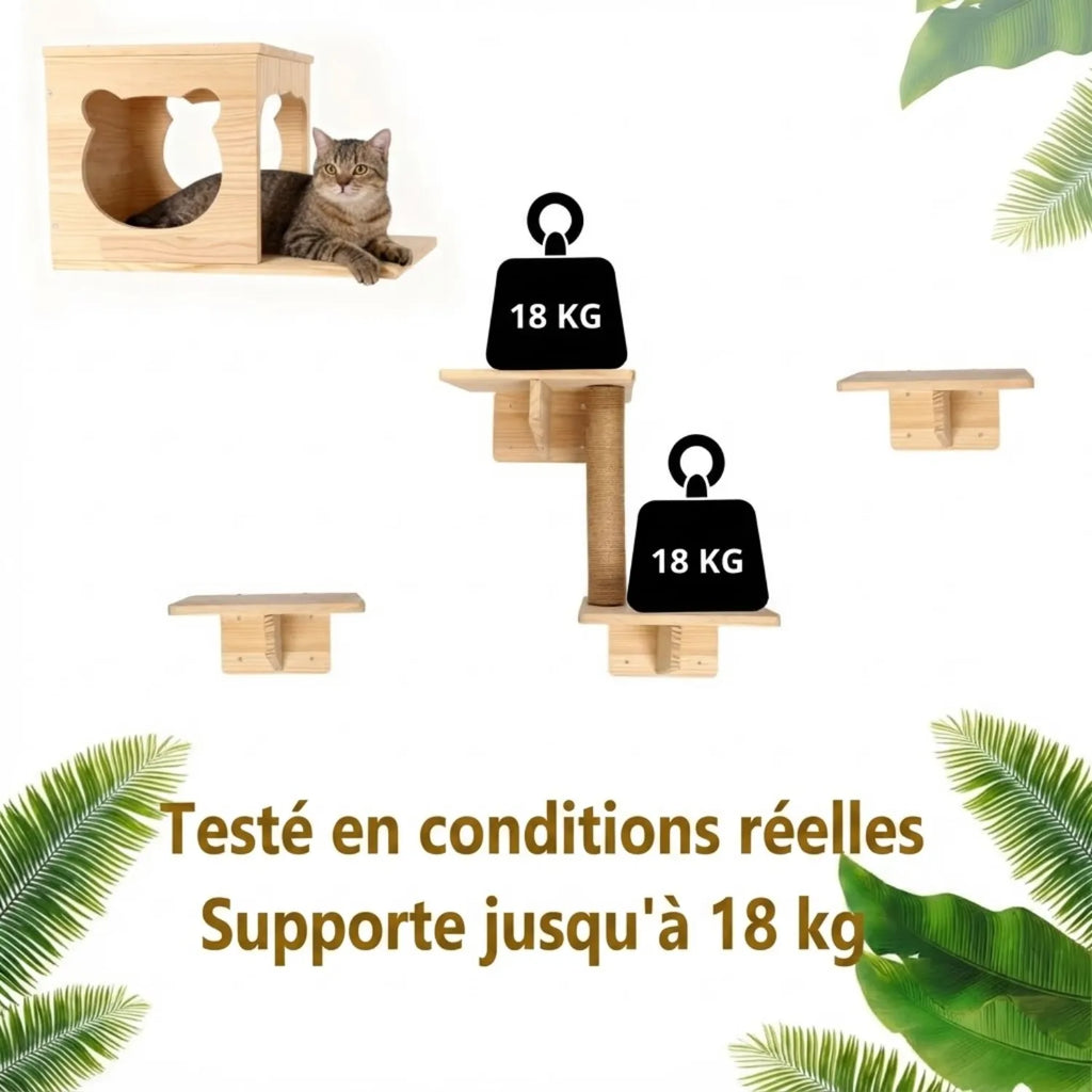 Schéma démontrant la résistance et la charge maximale supportée jusqu'à 15 kg par étape.